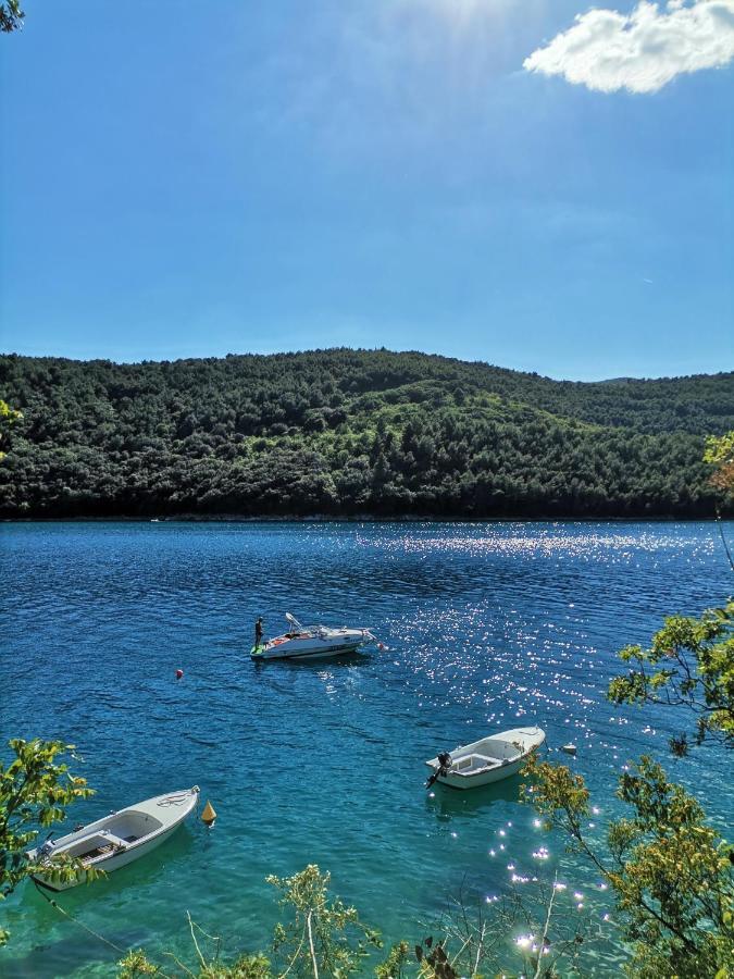 Lovely Apartment Branko Rabac With Balcony And Parking 外观 照片